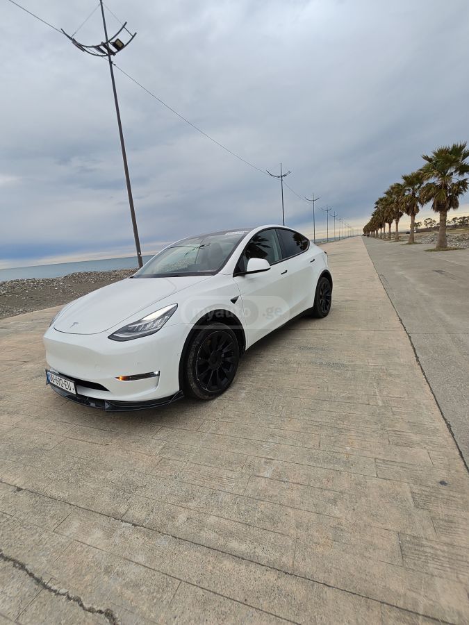 Tesla Dual motor long range — миниатюра 3