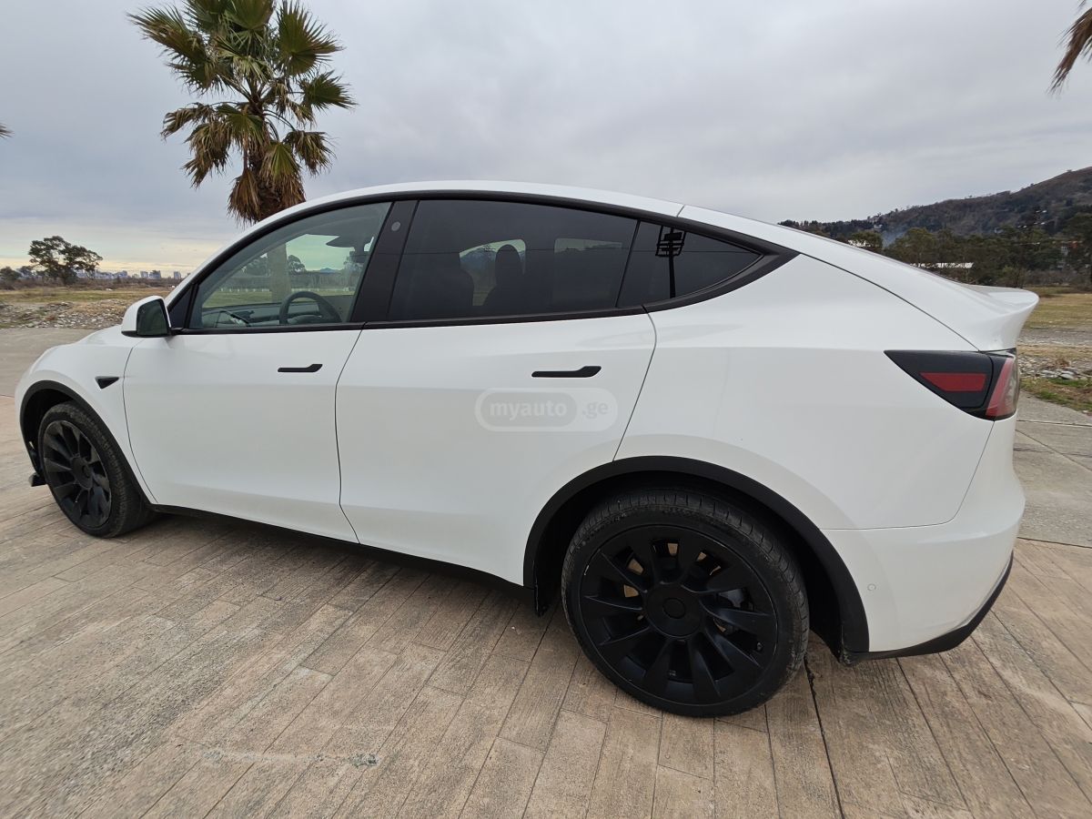 Tesla Dual motor long range — миниатюра 6