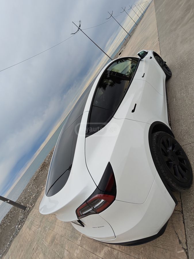 Tesla Dual motor long range — миниатюра 7