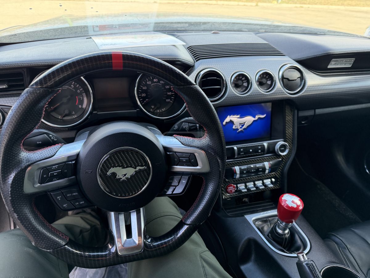 Ford Mustang - фото 12