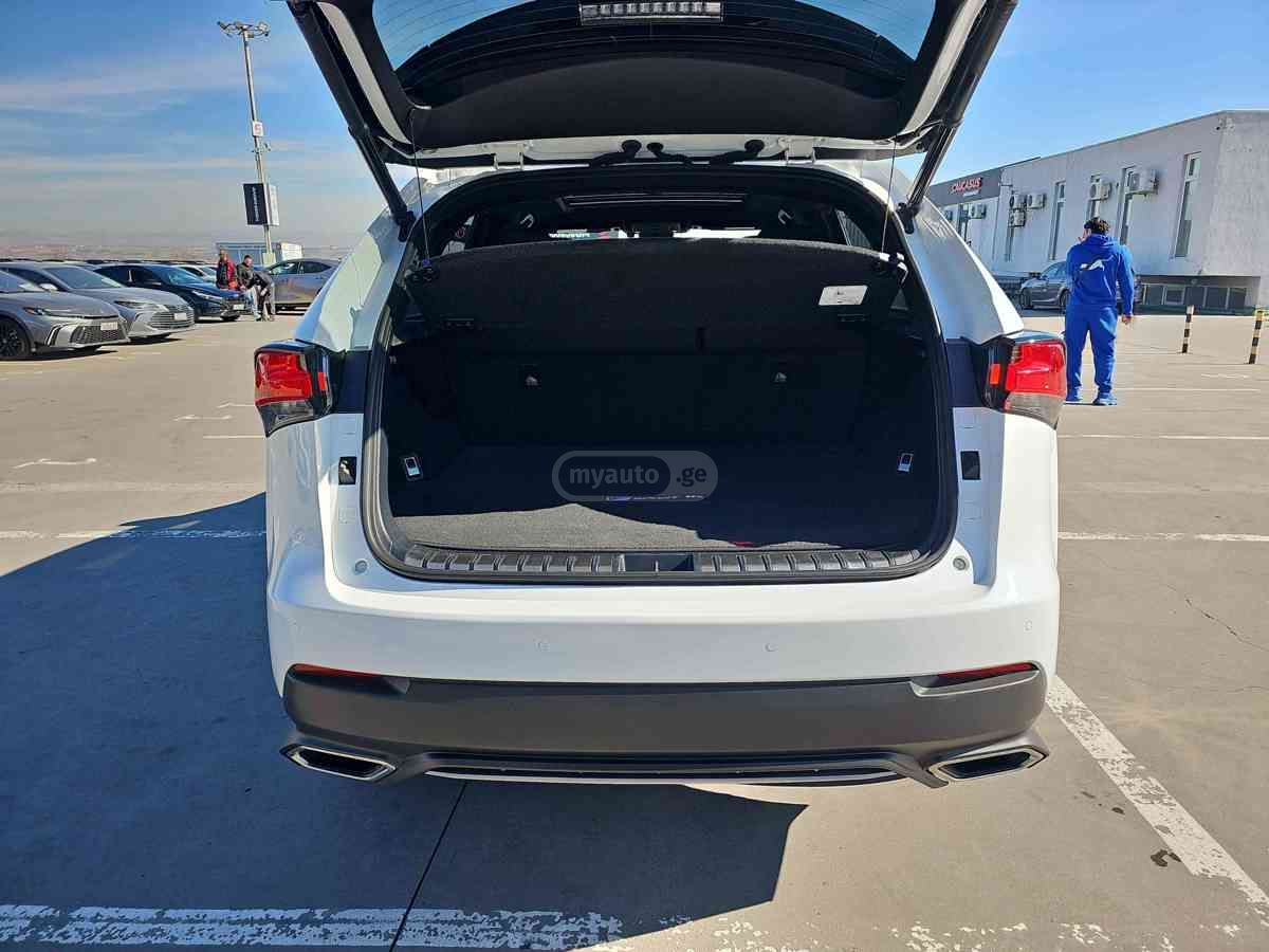 Lexus NX 300 2021 — миниатюра 2