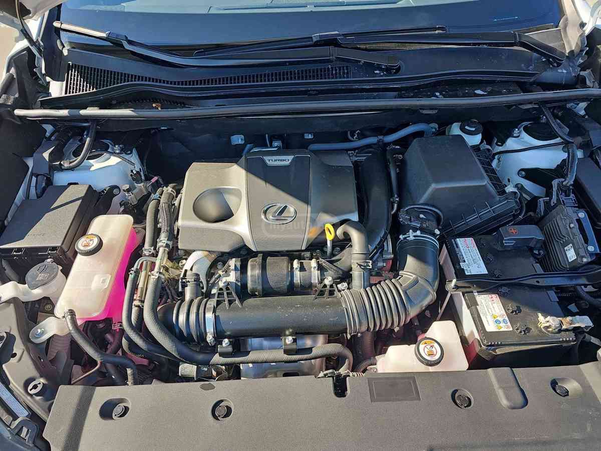 Lexus NX 300 2021 — миниатюра 3