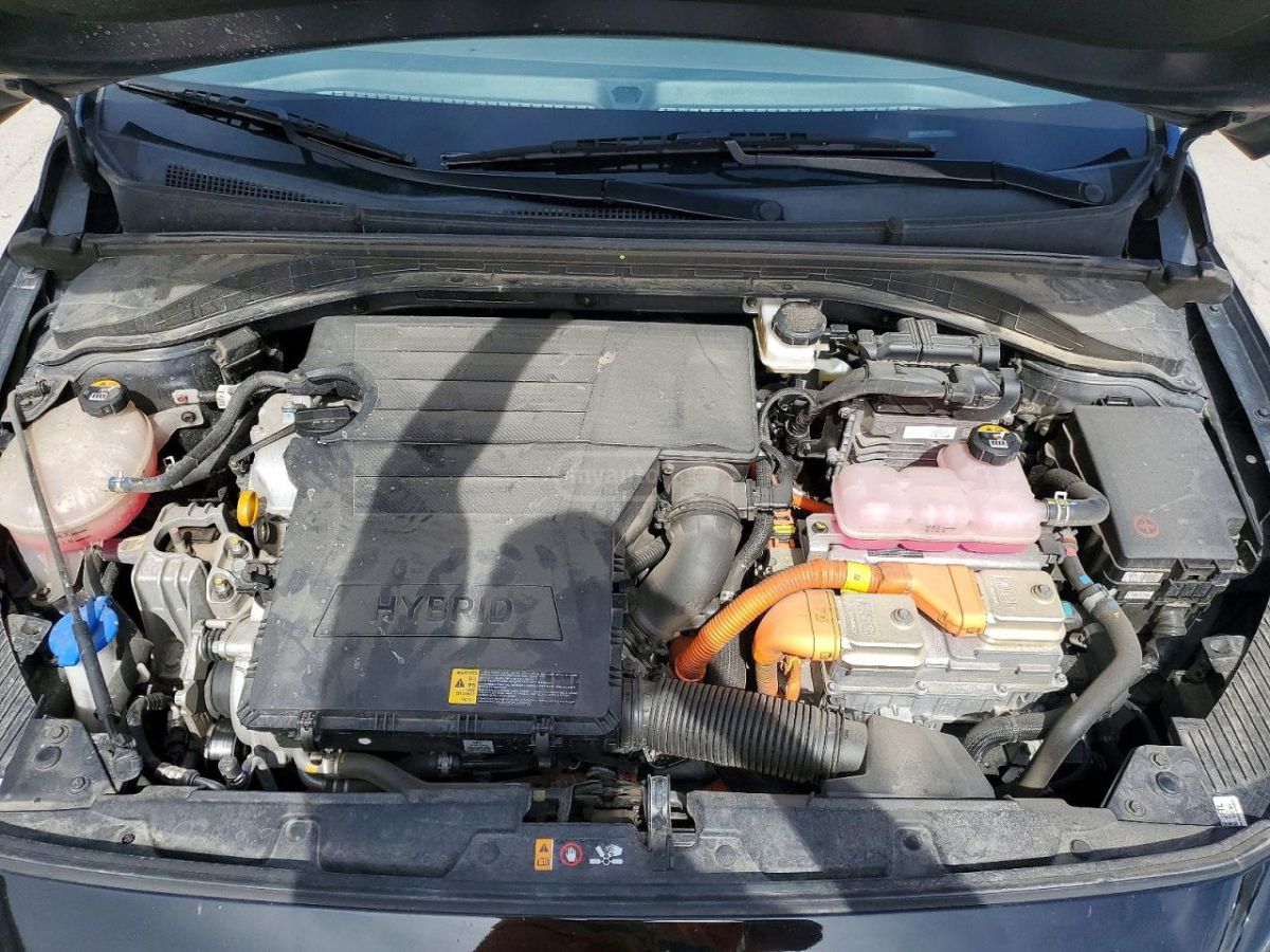Hyundai Ioniq - фото 11