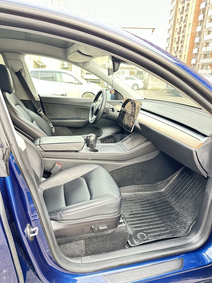 Tesla Performance — миниатюра 10