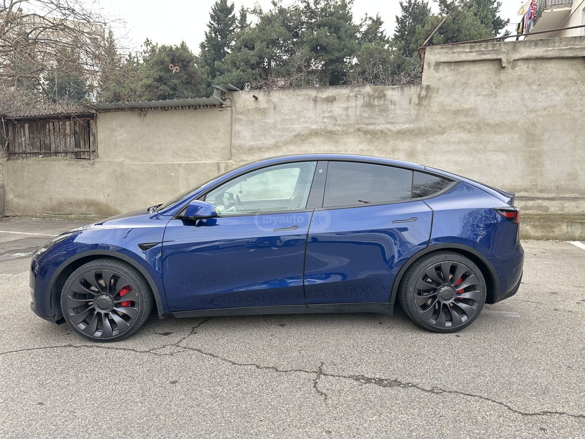Tesla Performance — миниатюра 6