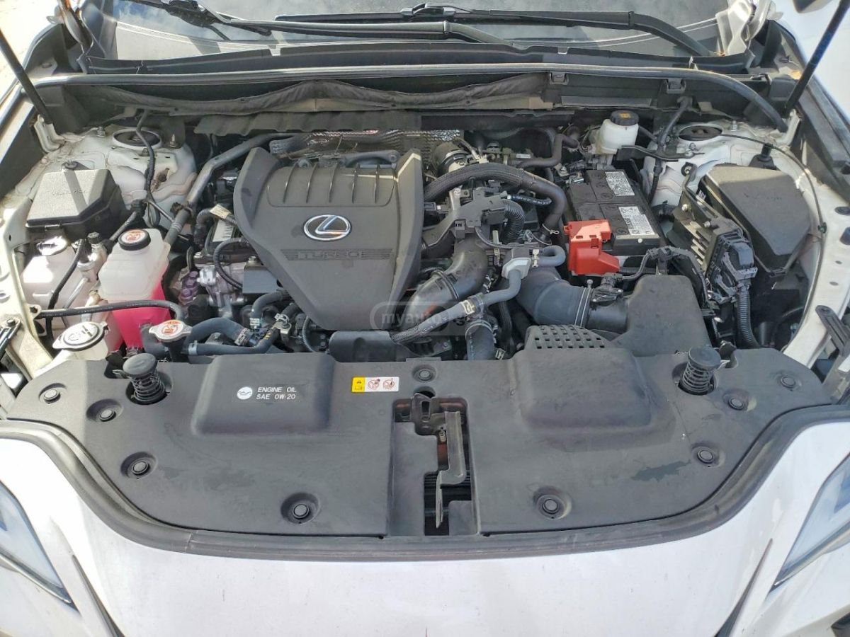 Lexus NX 350 - фото 12