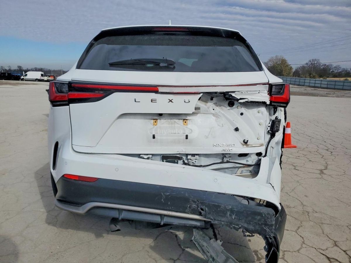 Lexus NX 350 - фото 6