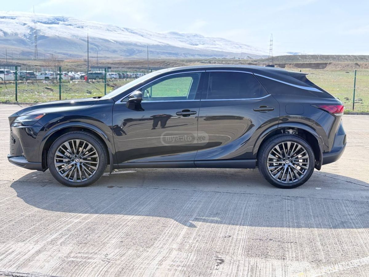 Lexus Executive — миниатюра 6