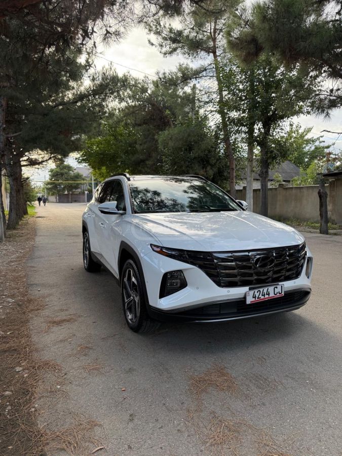 Hyundai Limited 4dr All-Wheel Drive Au — миниатюра 2