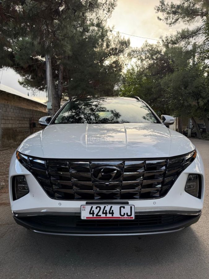 Hyundai Limited 4dr All-Wheel Drive Au — миниатюра 3
