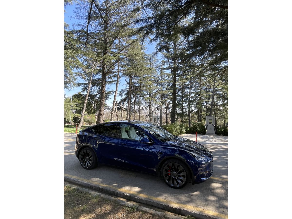 Tesla Model Y - фото 1