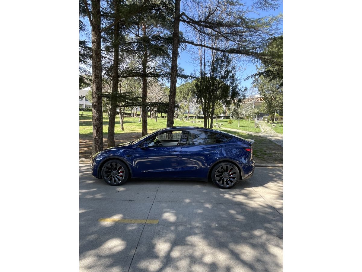 Tesla Model Y - фото 2