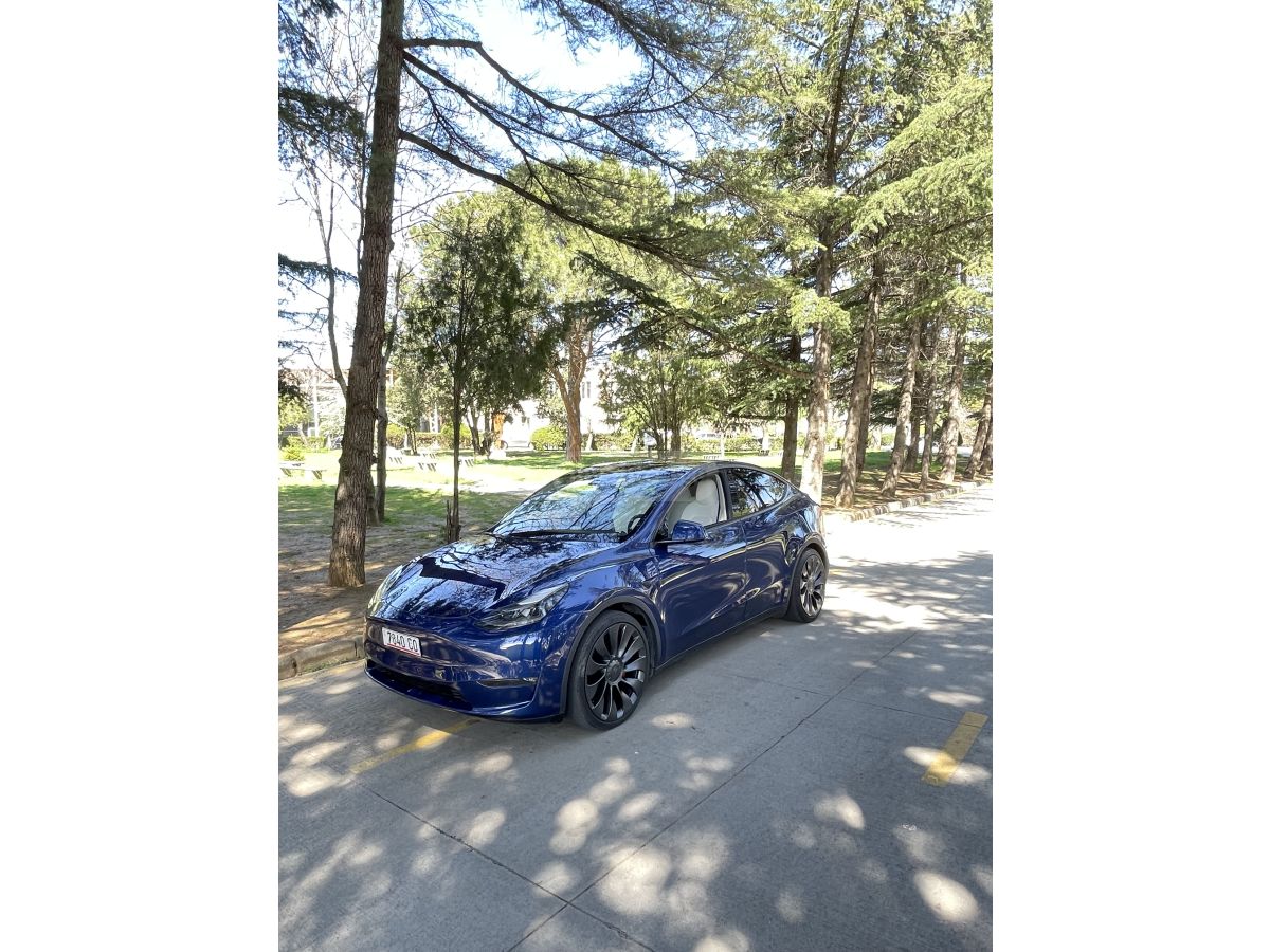 Tesla Model Y - фото 3