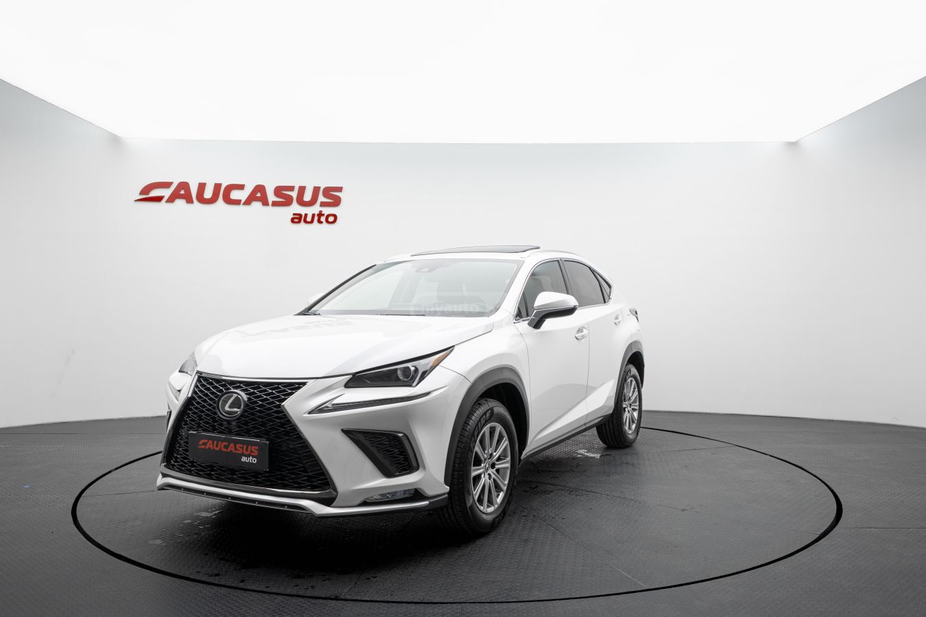 Lexus Lexus NX — миниатюра 1