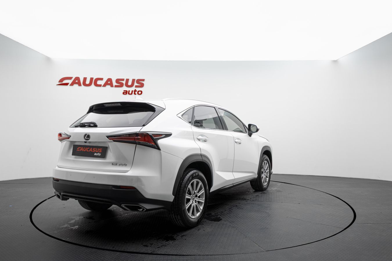 Lexus Lexus NX — миниатюра 5