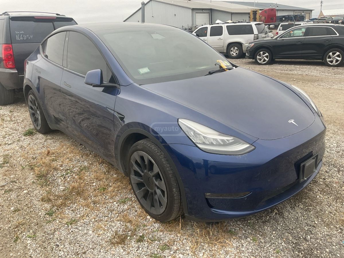 Tesla DUAL MOTOR LONG RANGE — миниатюра 1