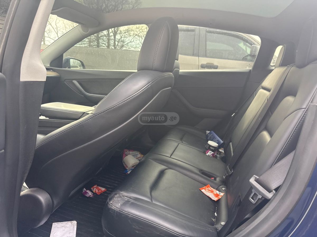 Tesla DUAL MOTOR LONG RANGE — миниатюра 8