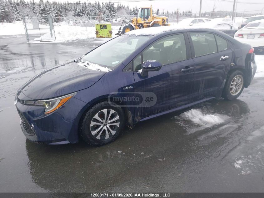 Toyota Corolla - фото 2