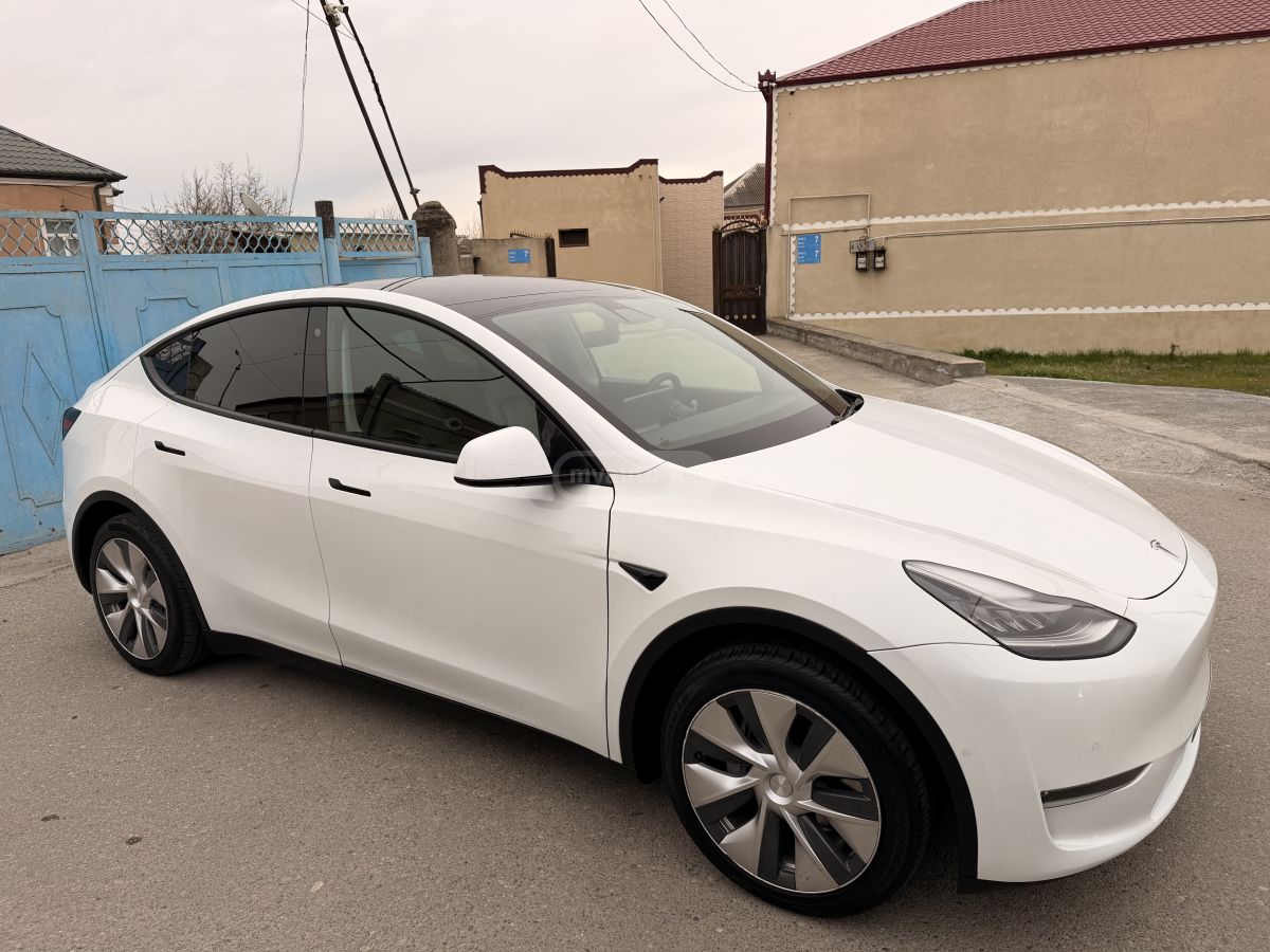 Tesla DUAL MOTOR LONG RANGE — миниатюра 2