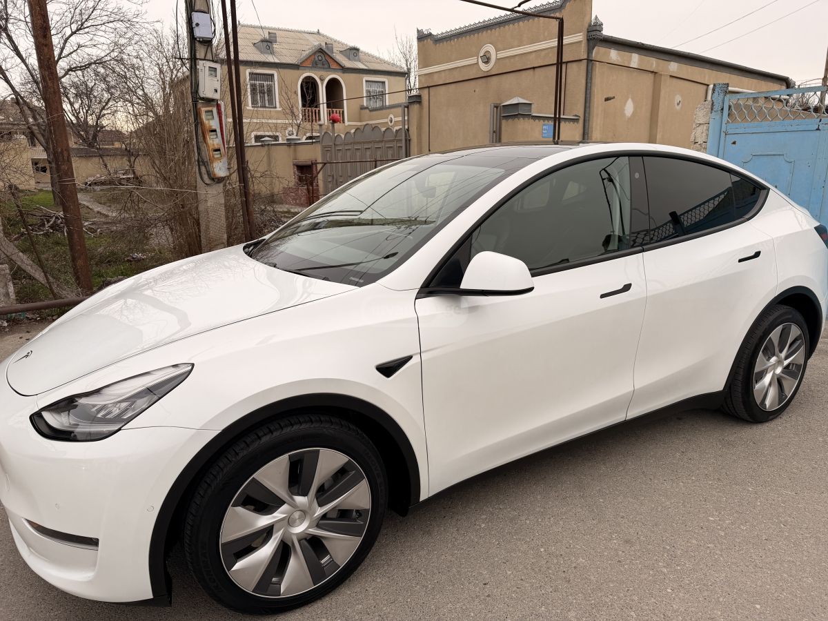 Tesla DUAL MOTOR LONG RANGE — миниатюра 3