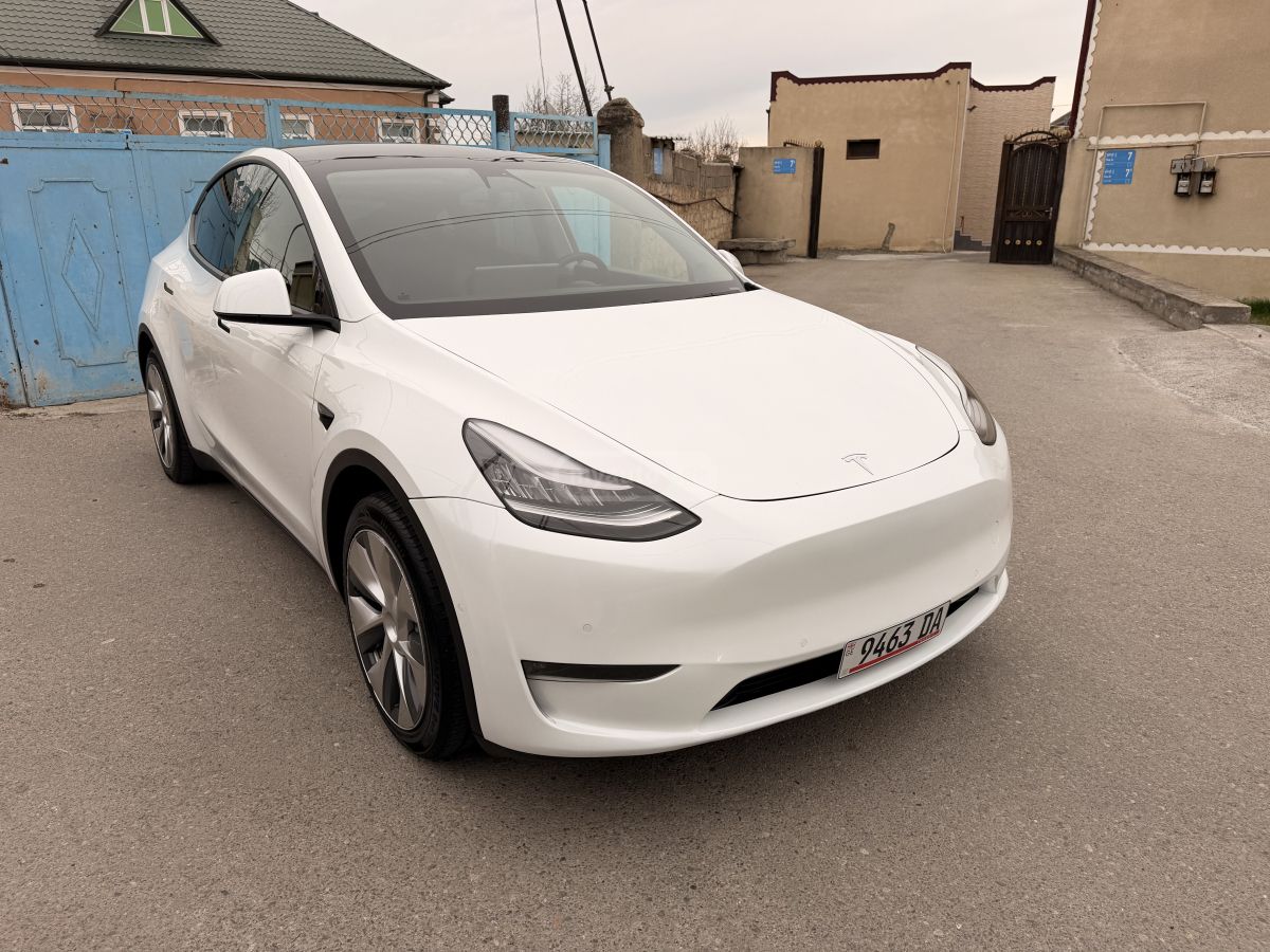 Tesla DUAL MOTOR LONG RANGE — миниатюра 4