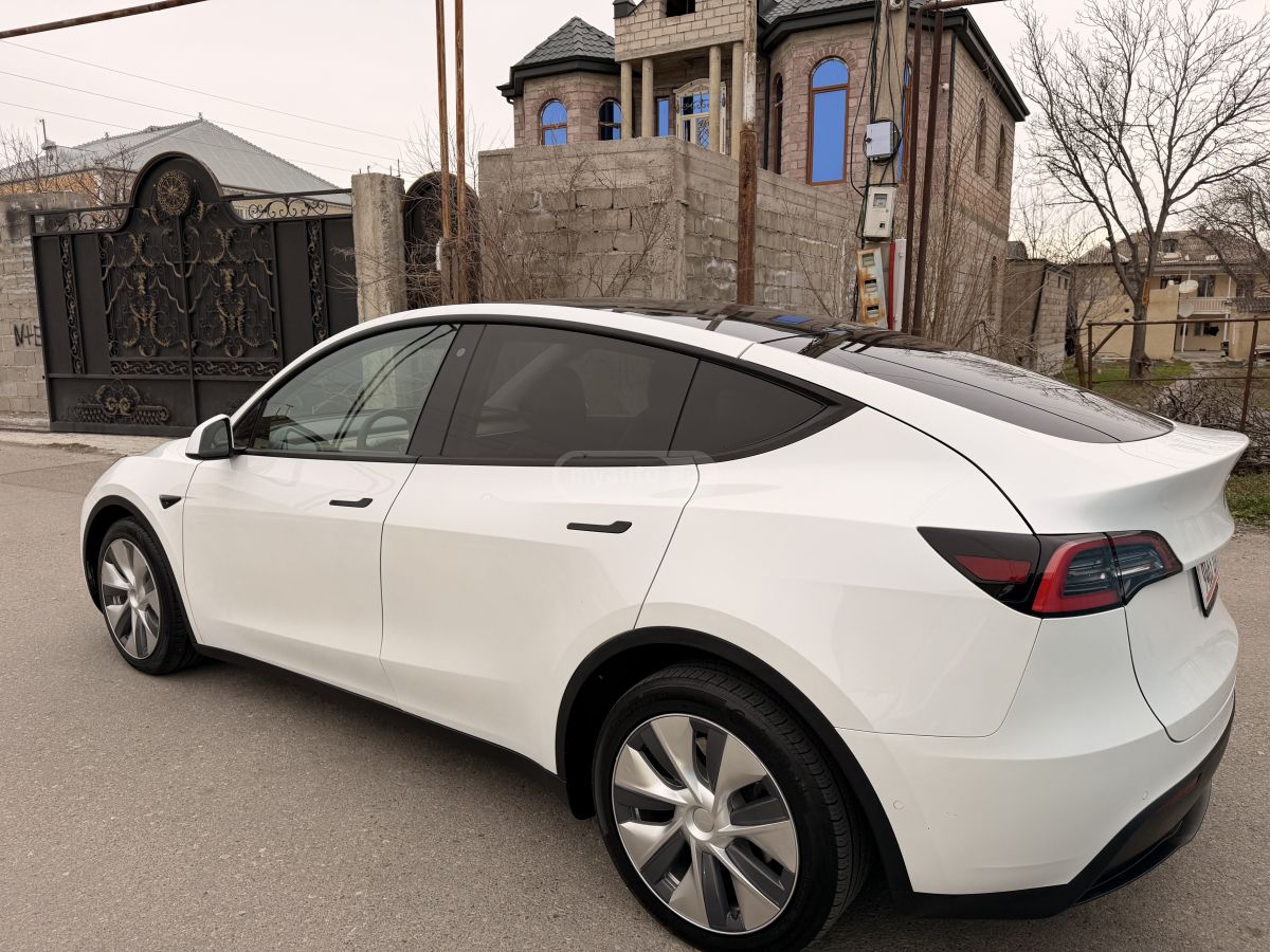 Tesla DUAL MOTOR LONG RANGE — миниатюра 5