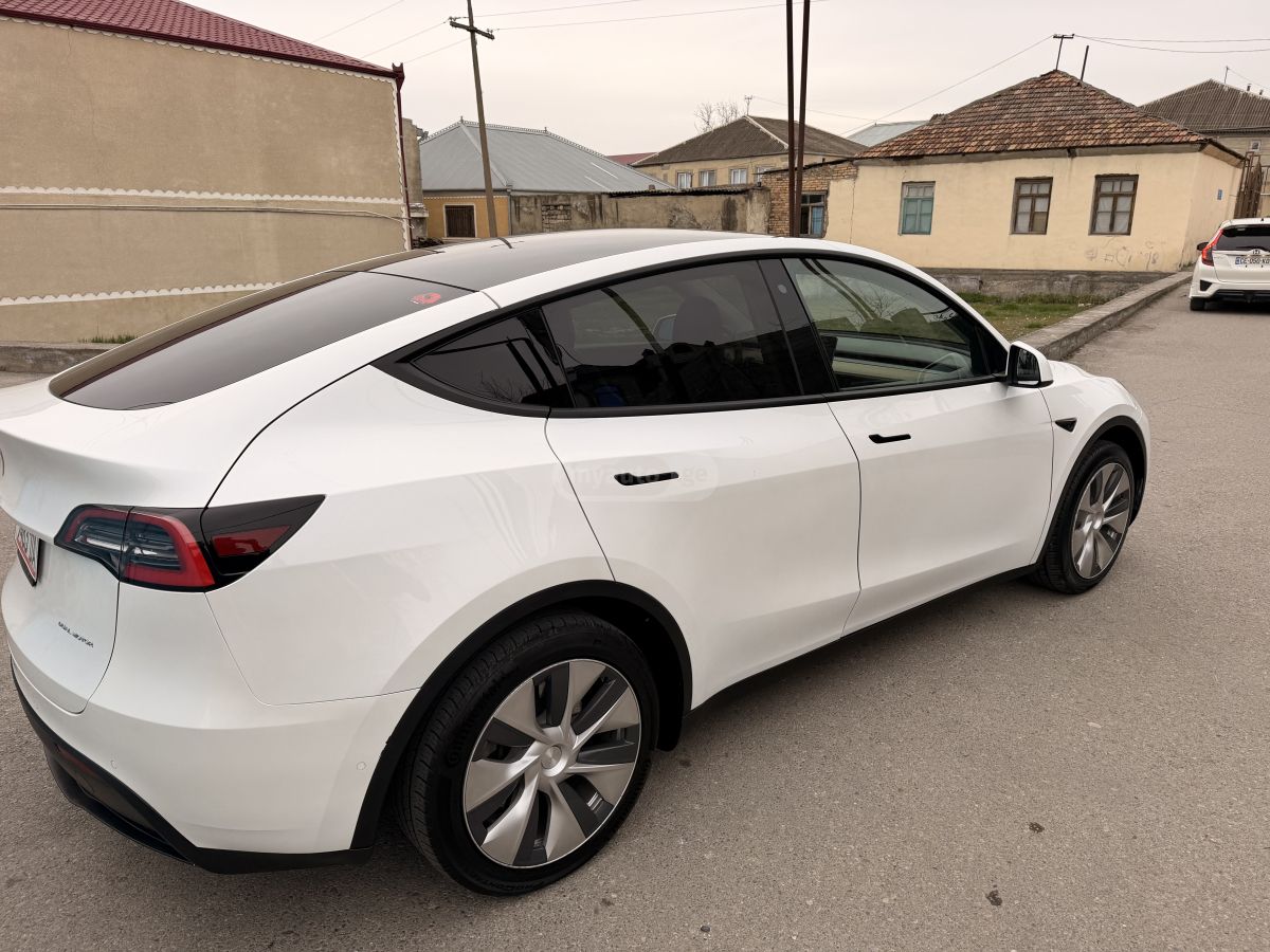 Tesla DUAL MOTOR LONG RANGE — миниатюра 6