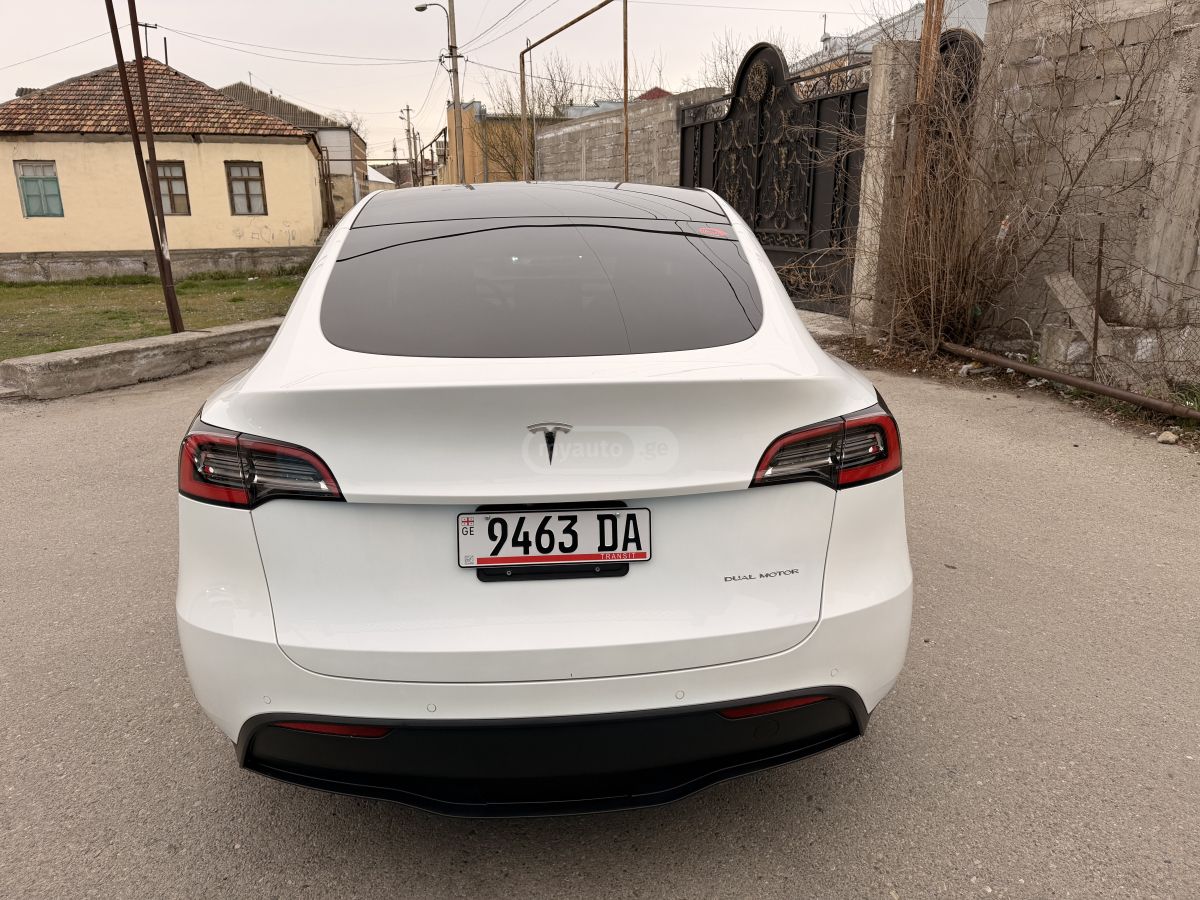 Tesla DUAL MOTOR LONG RANGE — миниатюра 7