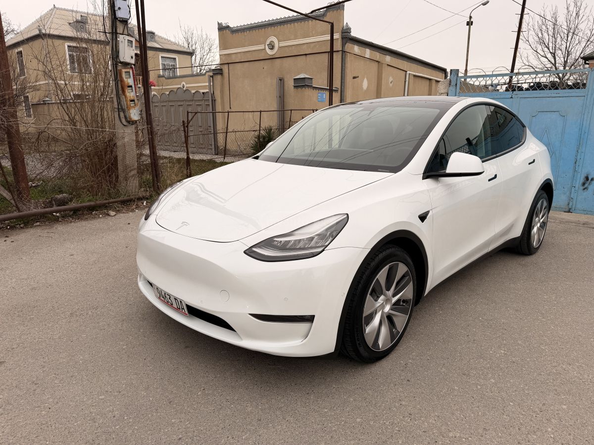 Tesla DUAL MOTOR LONG RANGE — миниатюра 8