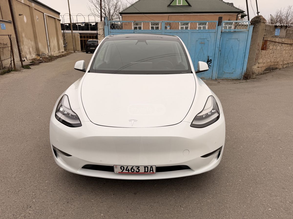 Tesla DUAL MOTOR LONG RANGE — миниатюра 9