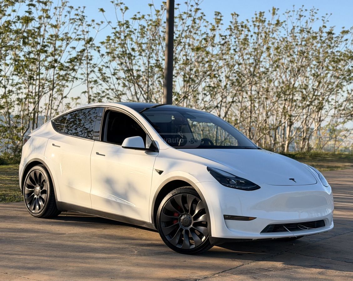 Tesla Model Y - фото 1