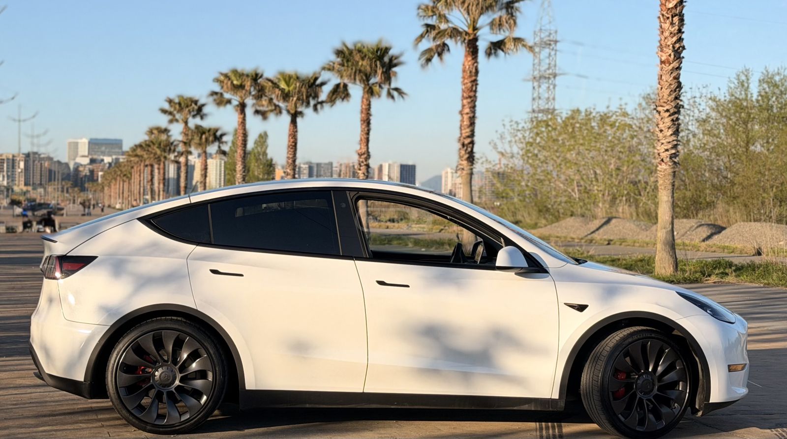 Tesla Model Y - фото 3