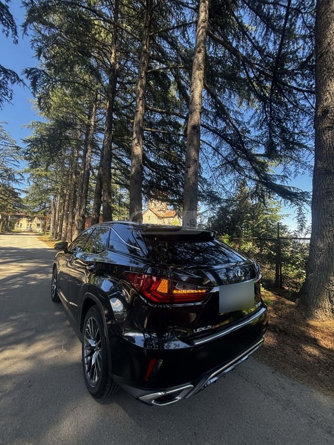 Lexus RX 350 - фото 9