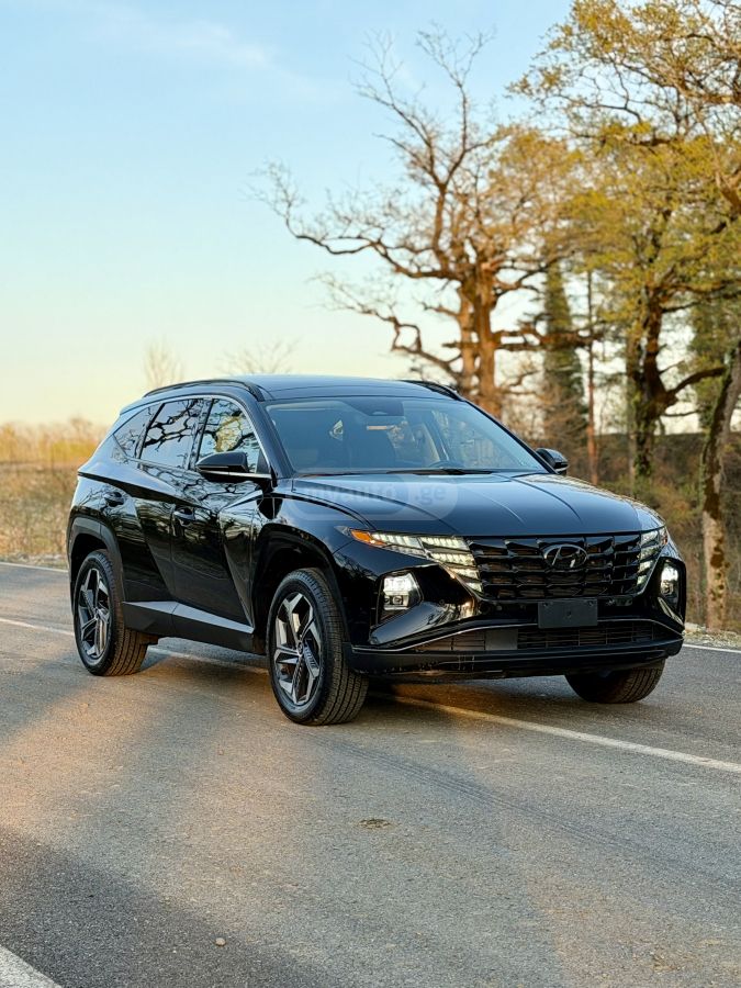 Hyundai Limited 4dr All-Wheel Drive Au — миниатюра 14