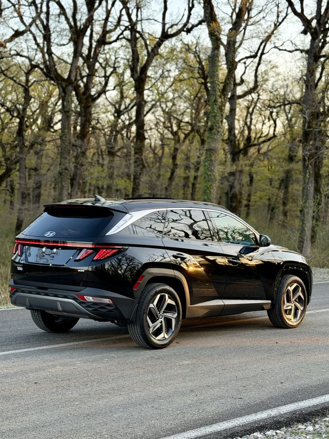 Hyundai Limited 4dr All-Wheel Drive Au — миниатюра 6