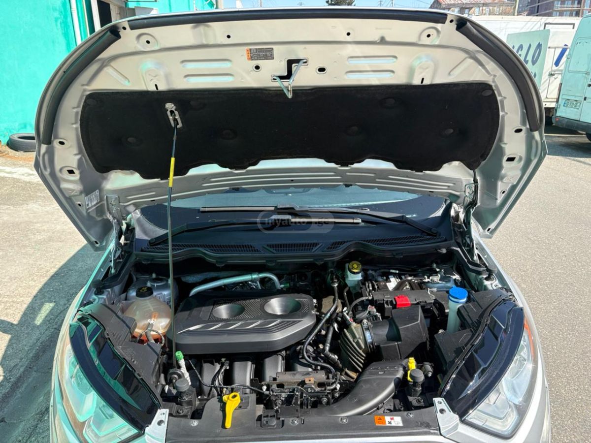 Ford EcoSport - фото 15