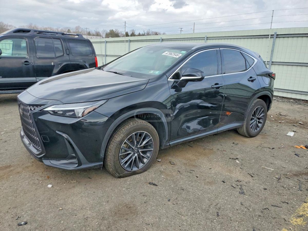 Lexus NX 350 PREMIUM 2025 — миниатюра 1