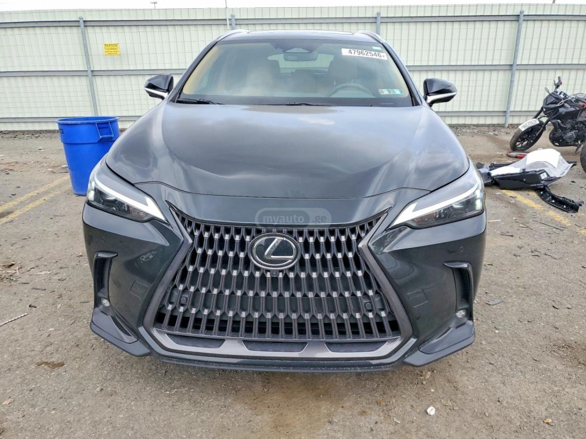 Lexus NX 350 PREMIUM 2025 — миниатюра 5