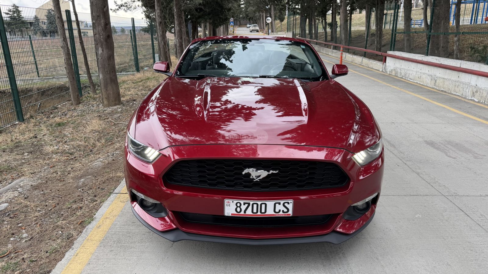 Ford Mustang - фото 1