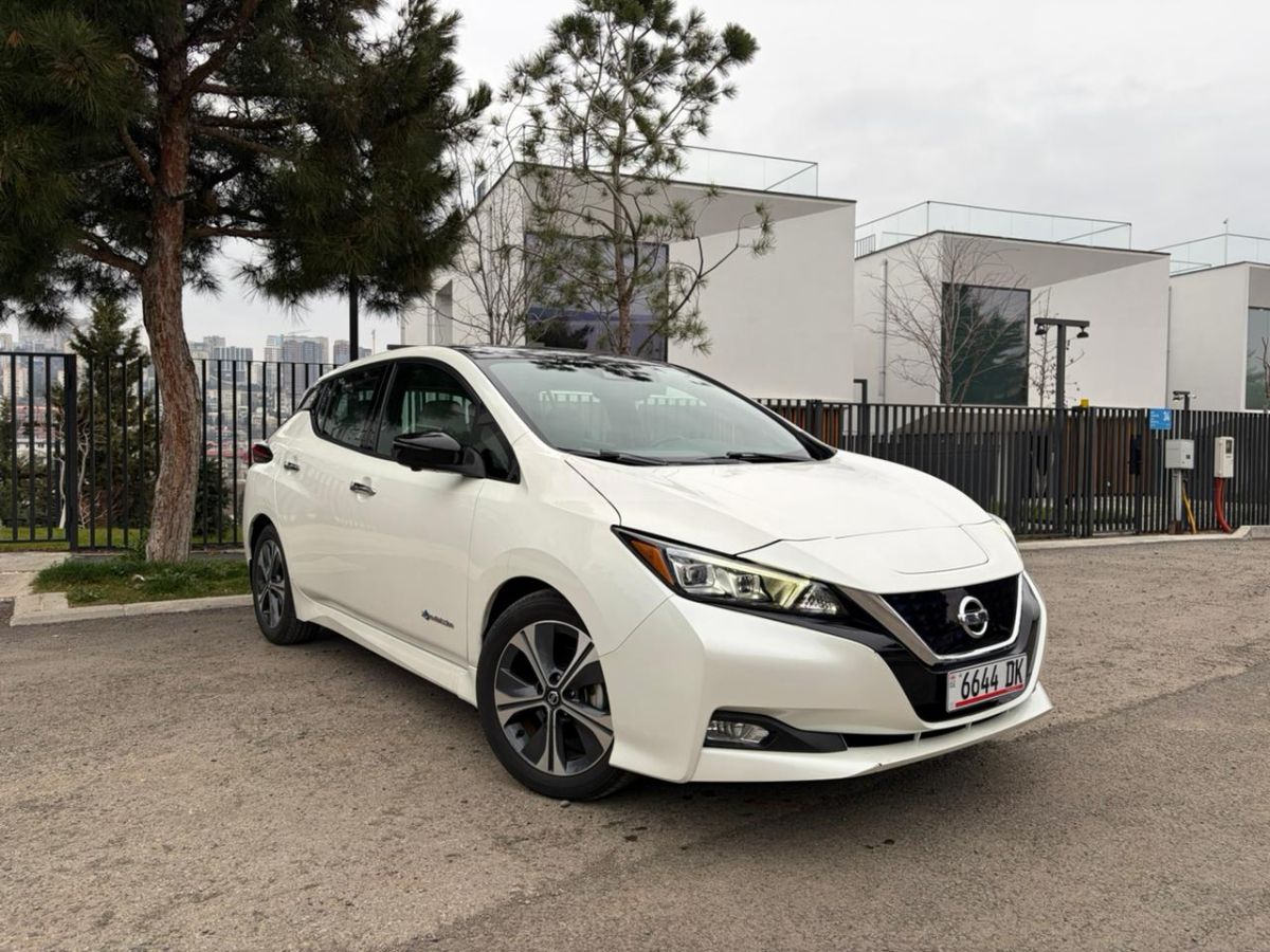 Nissan Leaf - фото 1