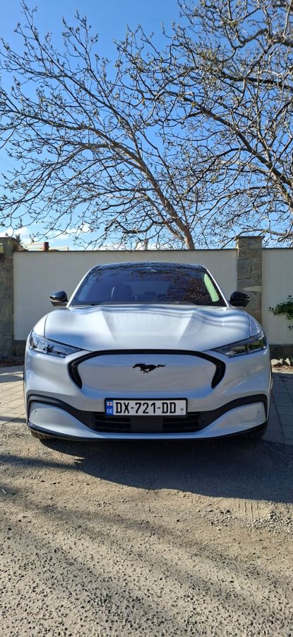 Ford Mustang Mach-E - фото 1