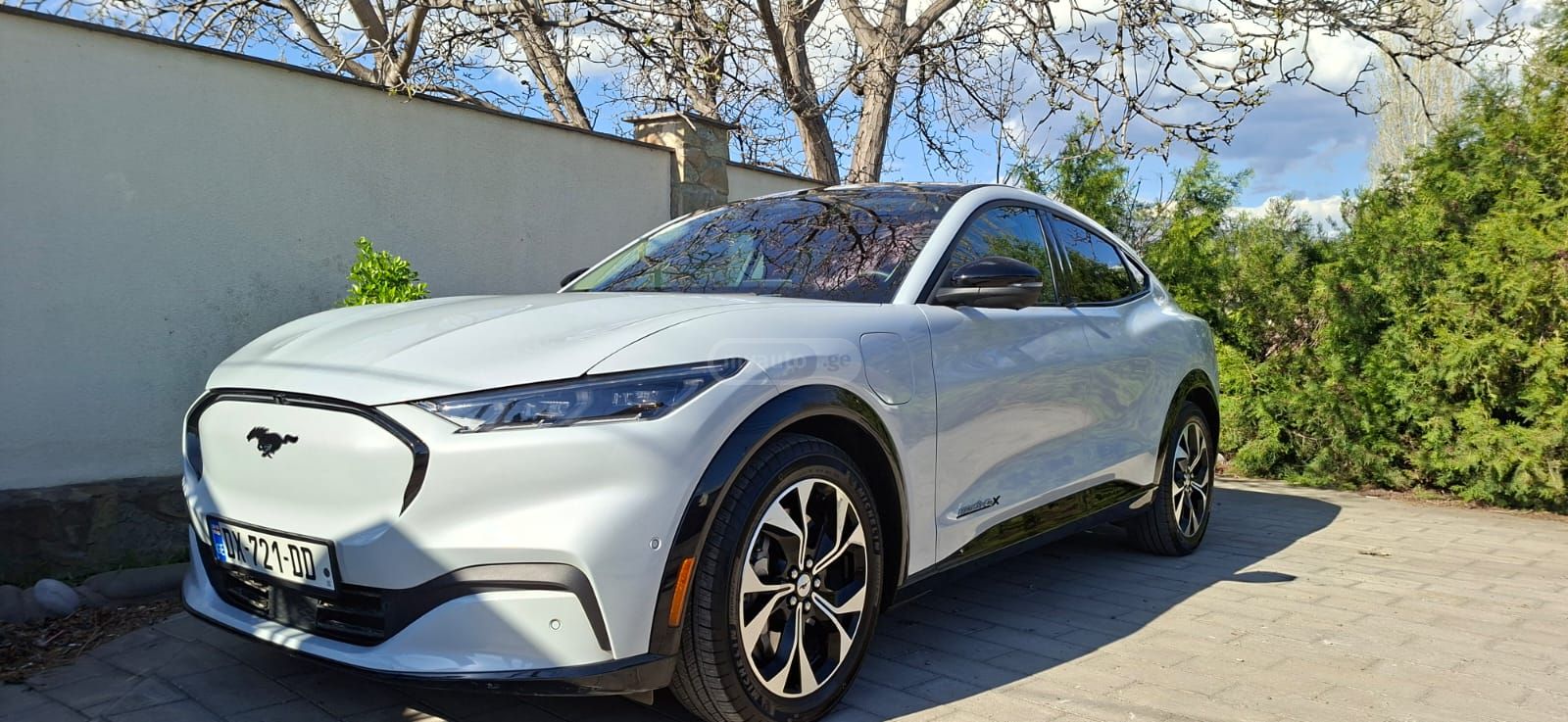 Ford Mustang Mach-E - фото 2