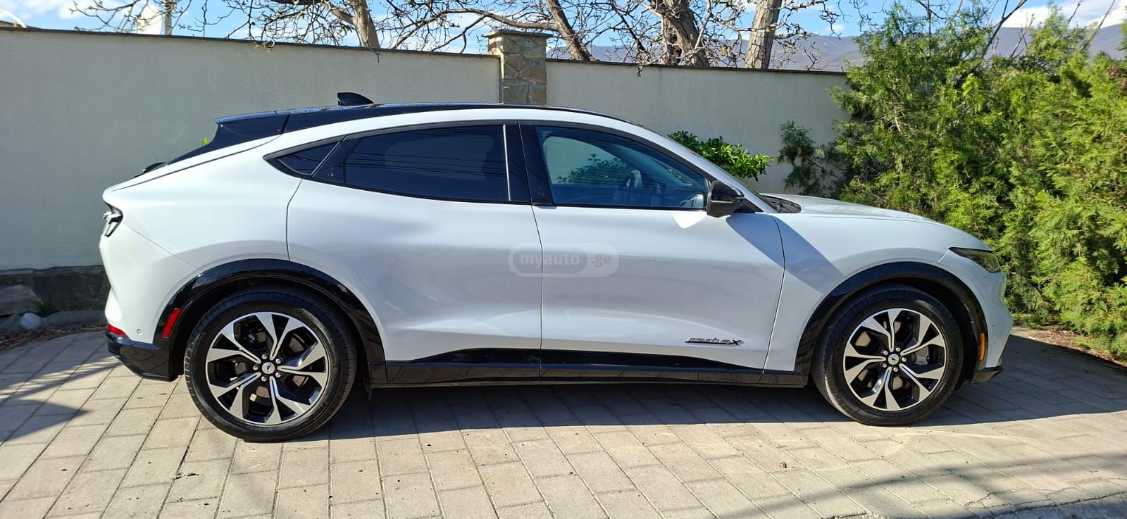 Ford Mustang Mach-E - фото 4