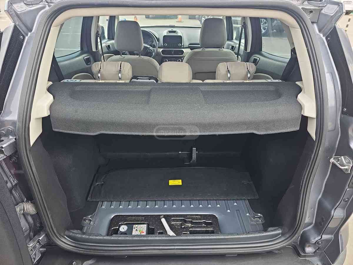 Ford EcoSport - фото 14