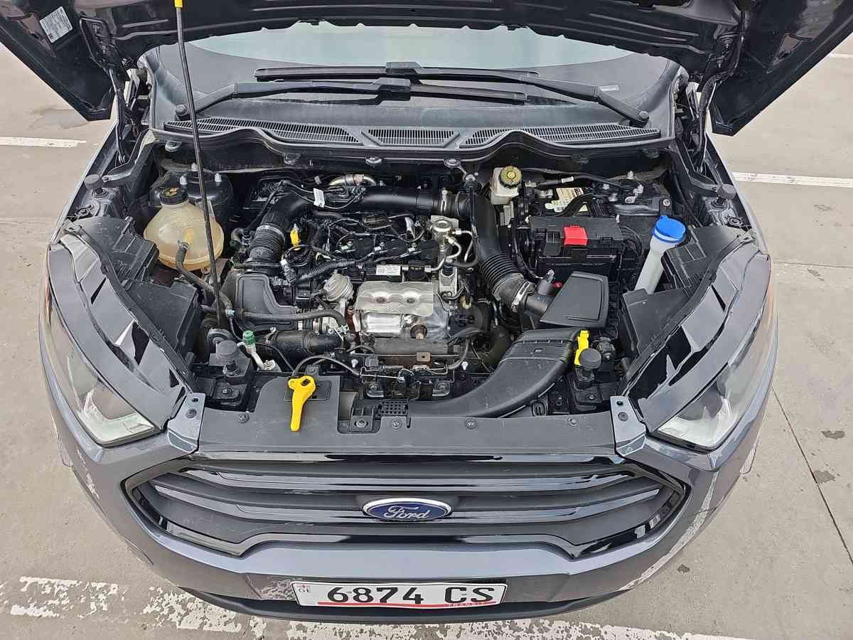 Ford EcoSport - фото 7