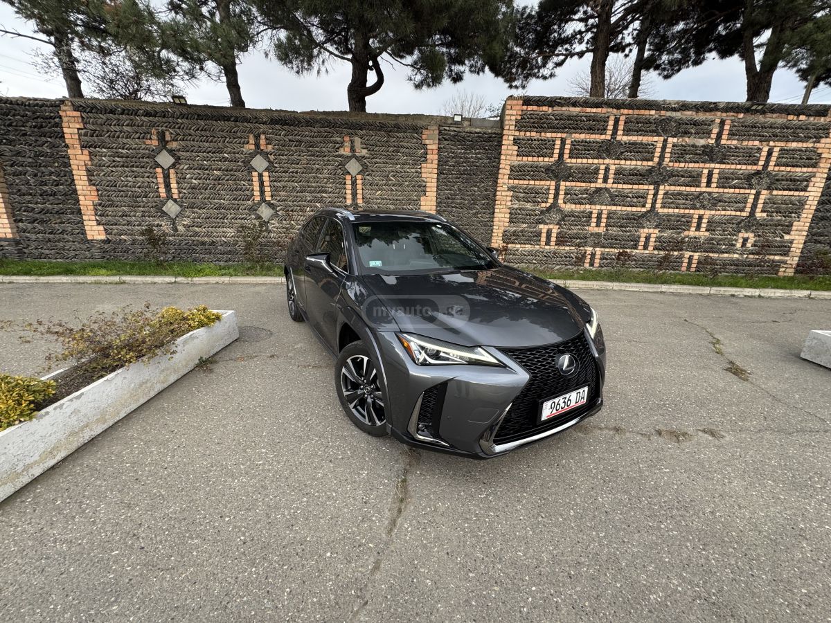 Lexus UX 250 h - фото 4