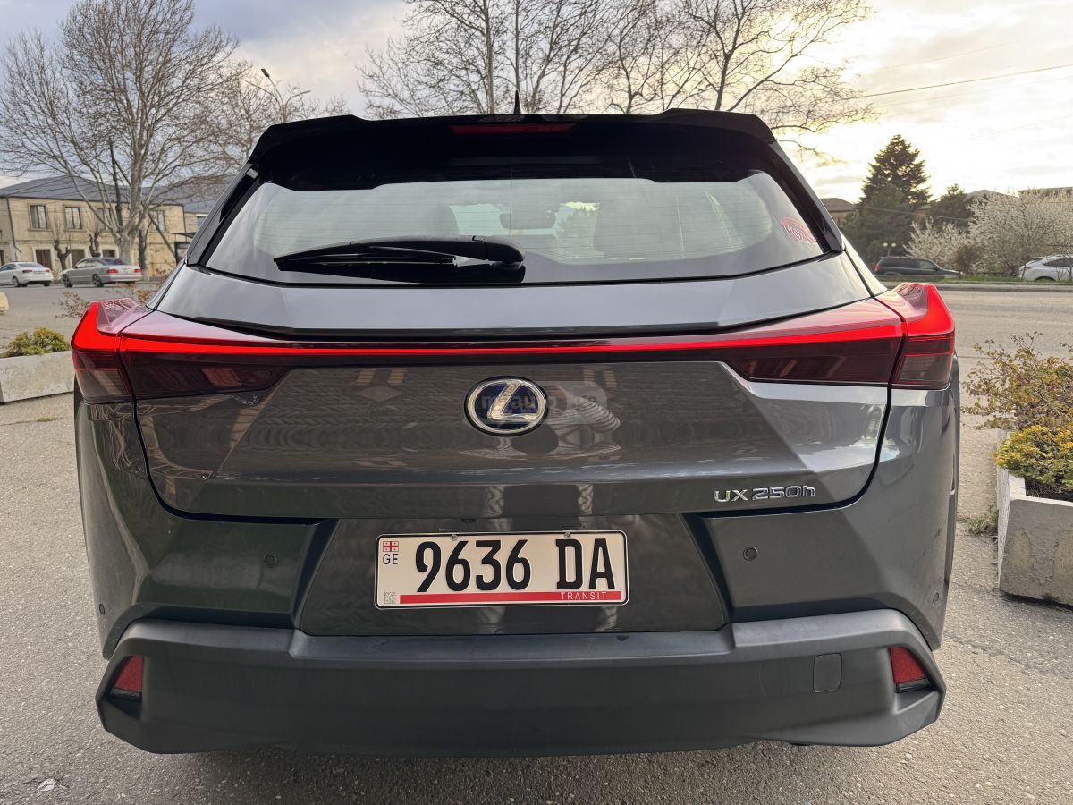 Lexus UX 250 h - фото 8