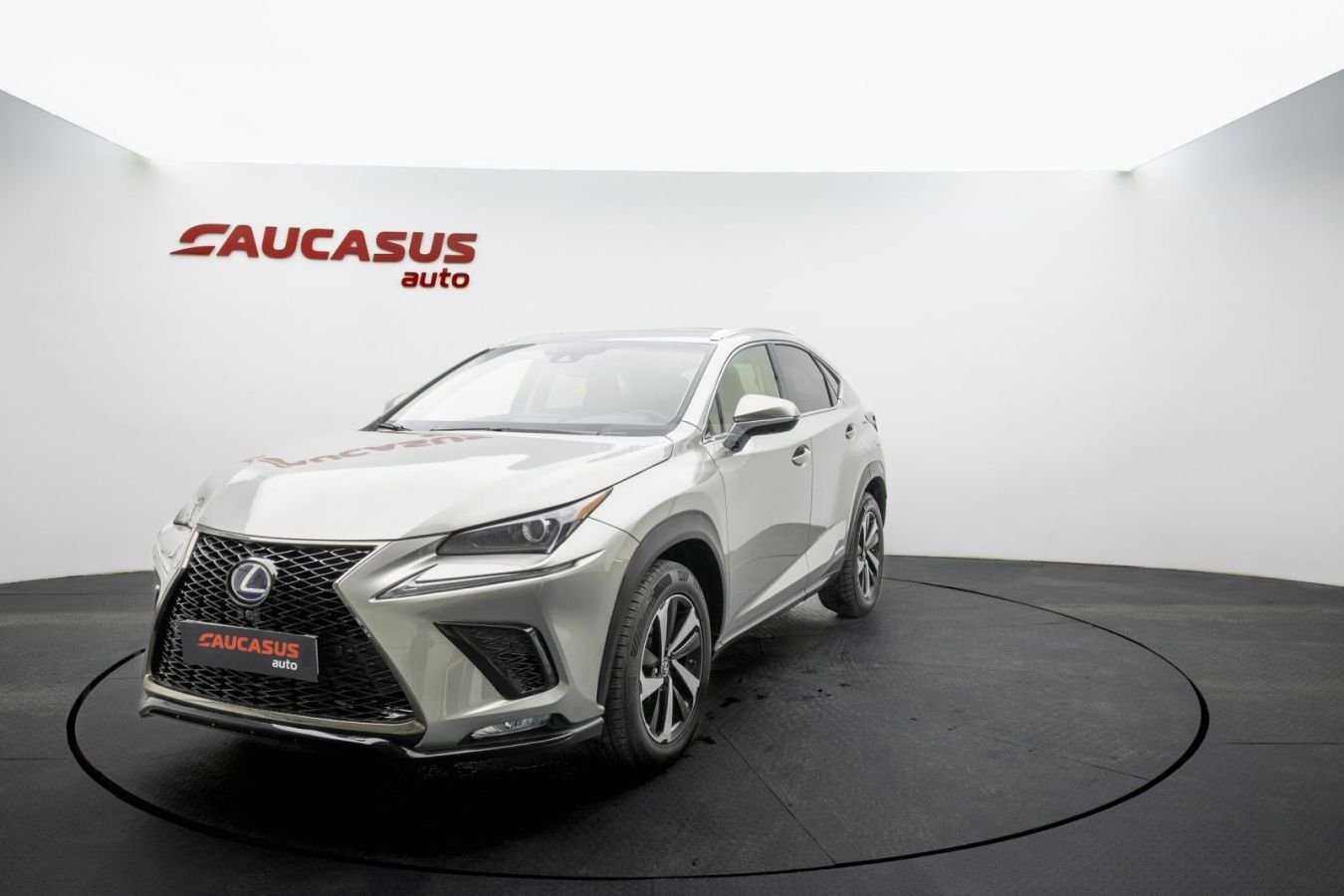 Lexus Luxury 4dr All-Wheel Drive CVT — миниатюра 2