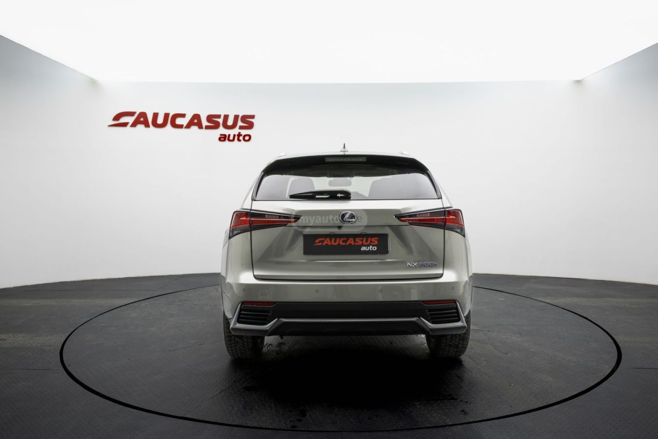 Lexus Luxury 4dr All-Wheel Drive CVT — миниатюра 5