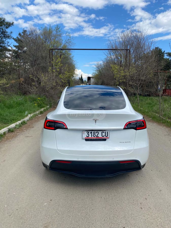 Tesla Model Y - фото 1